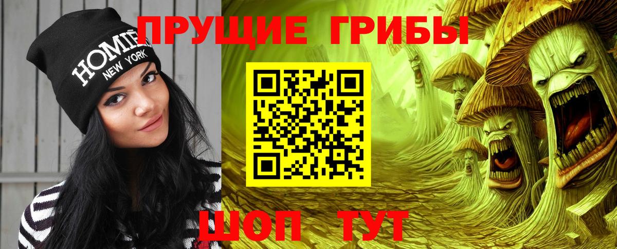 Псилоцибиновые грибы Psilocybe Урай